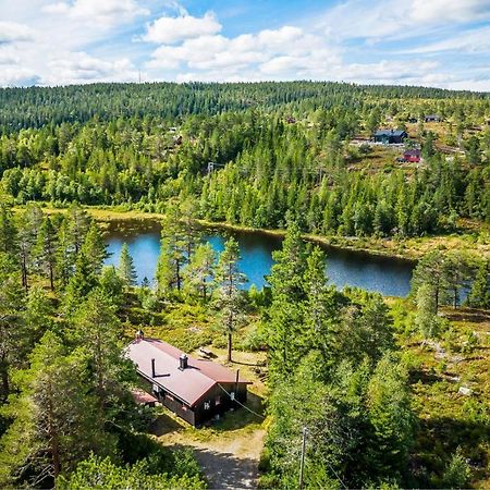 Ro I Sjelen. Hytte Til Leie Pa Skrim. コングスベルグ エクステリア 写真