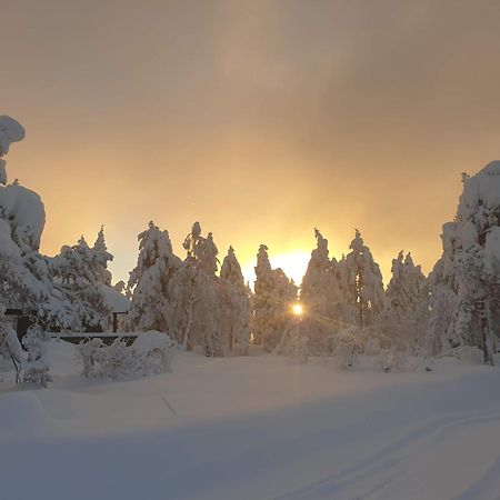 Ro I Sjelen. Hytte Til Leie Pa Skrim. コングスベルグ エクステリア 写真