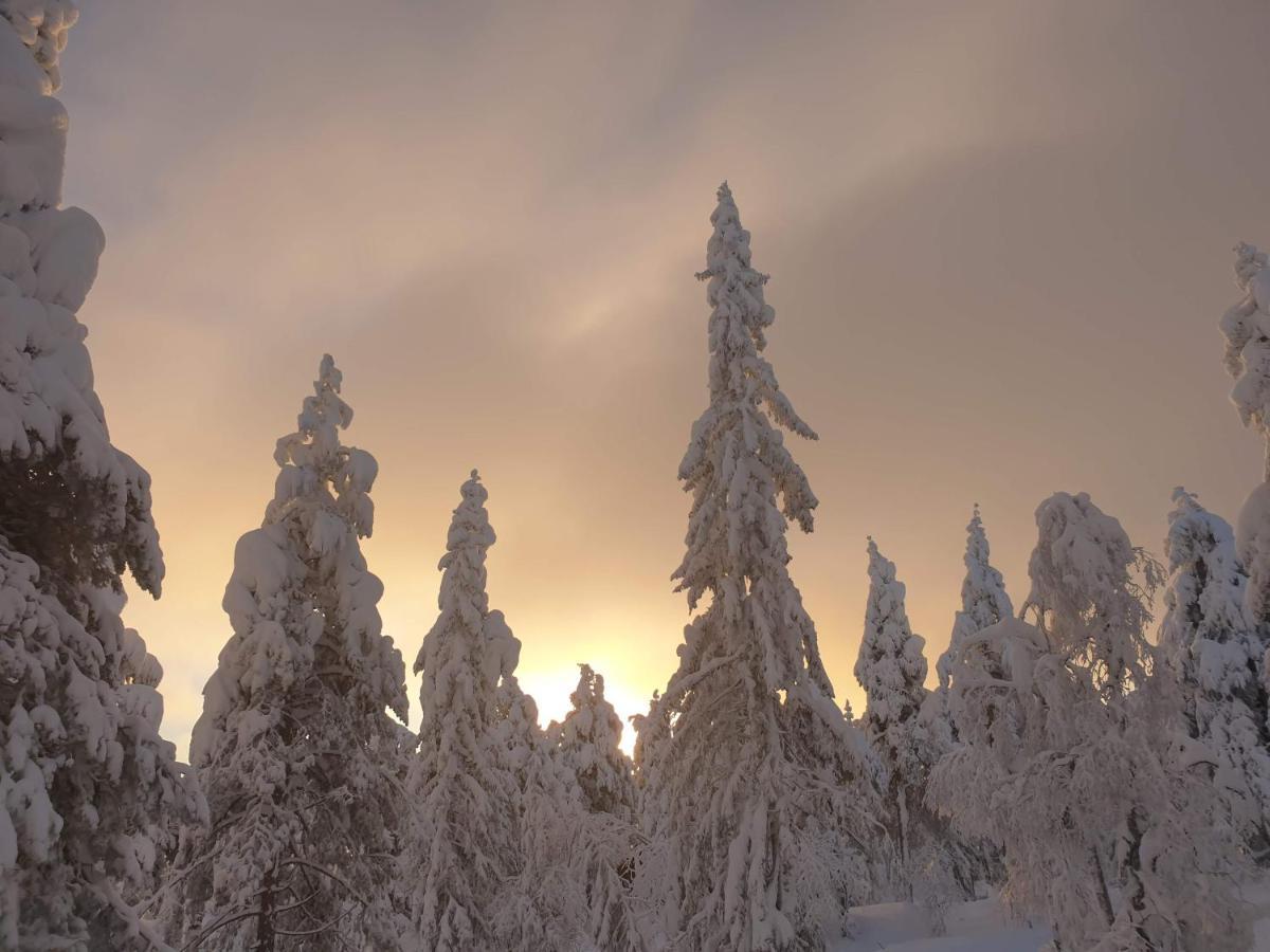 Ro I Sjelen. Hytte Til Leie Pa Skrim. コングスベルグ エクステリア 写真