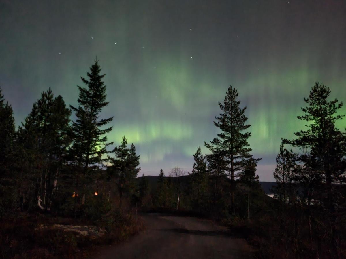 Ro I Sjelen. Hytte Til Leie Pa Skrim. コングスベルグ エクステリア 写真