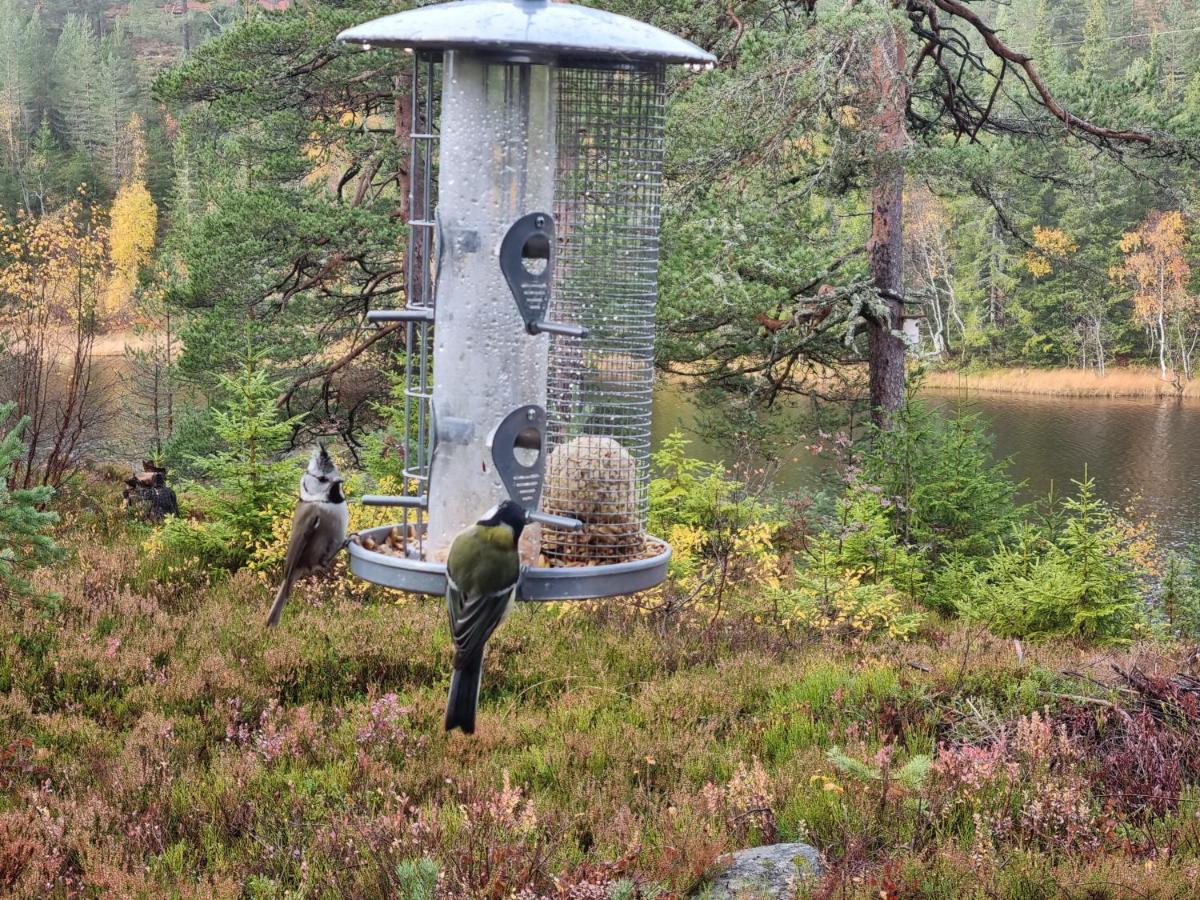 Ro I Sjelen. Hytte Til Leie Pa Skrim. コングスベルグ エクステリア 写真