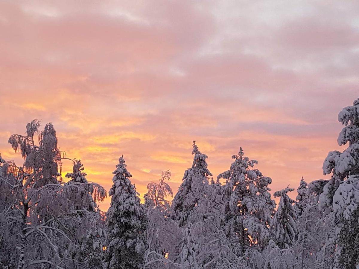 Ro I Sjelen. Hytte Til Leie Pa Skrim. コングスベルグ エクステリア 写真