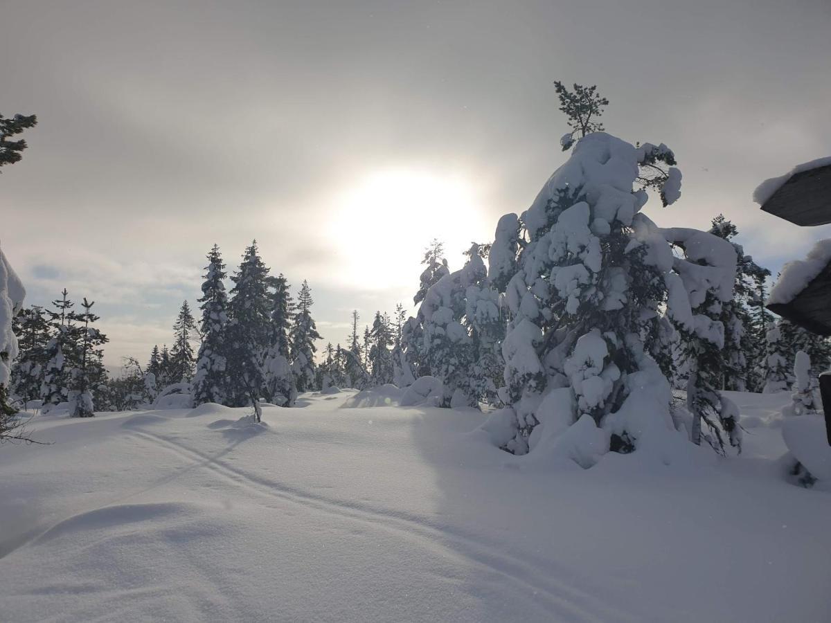 Ro I Sjelen. Hytte Til Leie Pa Skrim. コングスベルグ エクステリア 写真