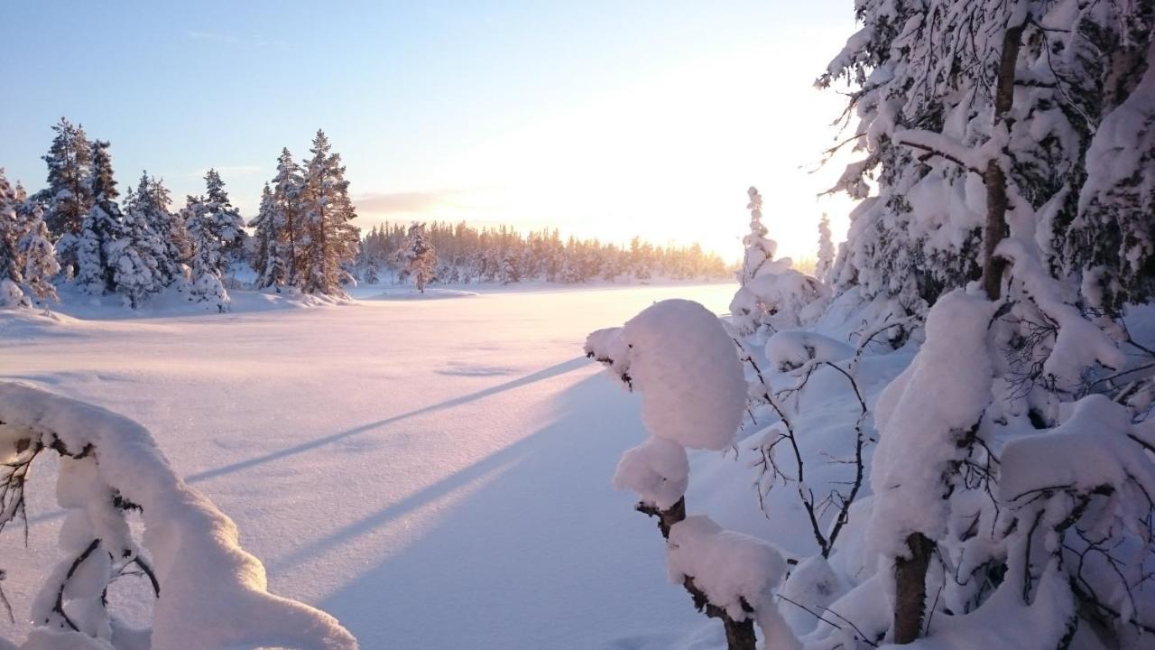 Ro I Sjelen. Hytte Til Leie Pa Skrim. コングスベルグ エクステリア 写真