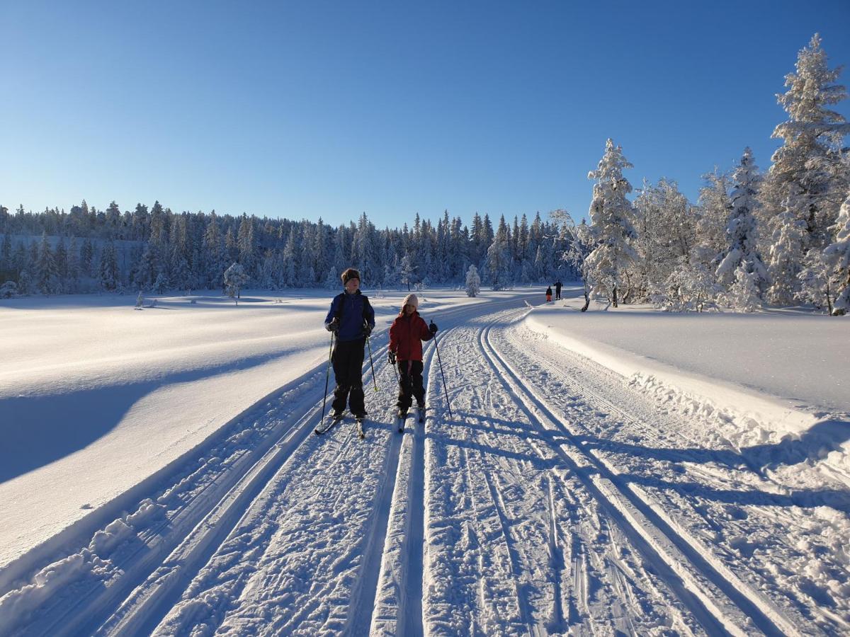 Ro I Sjelen. Hytte Til Leie Pa Skrim. コングスベルグ エクステリア 写真