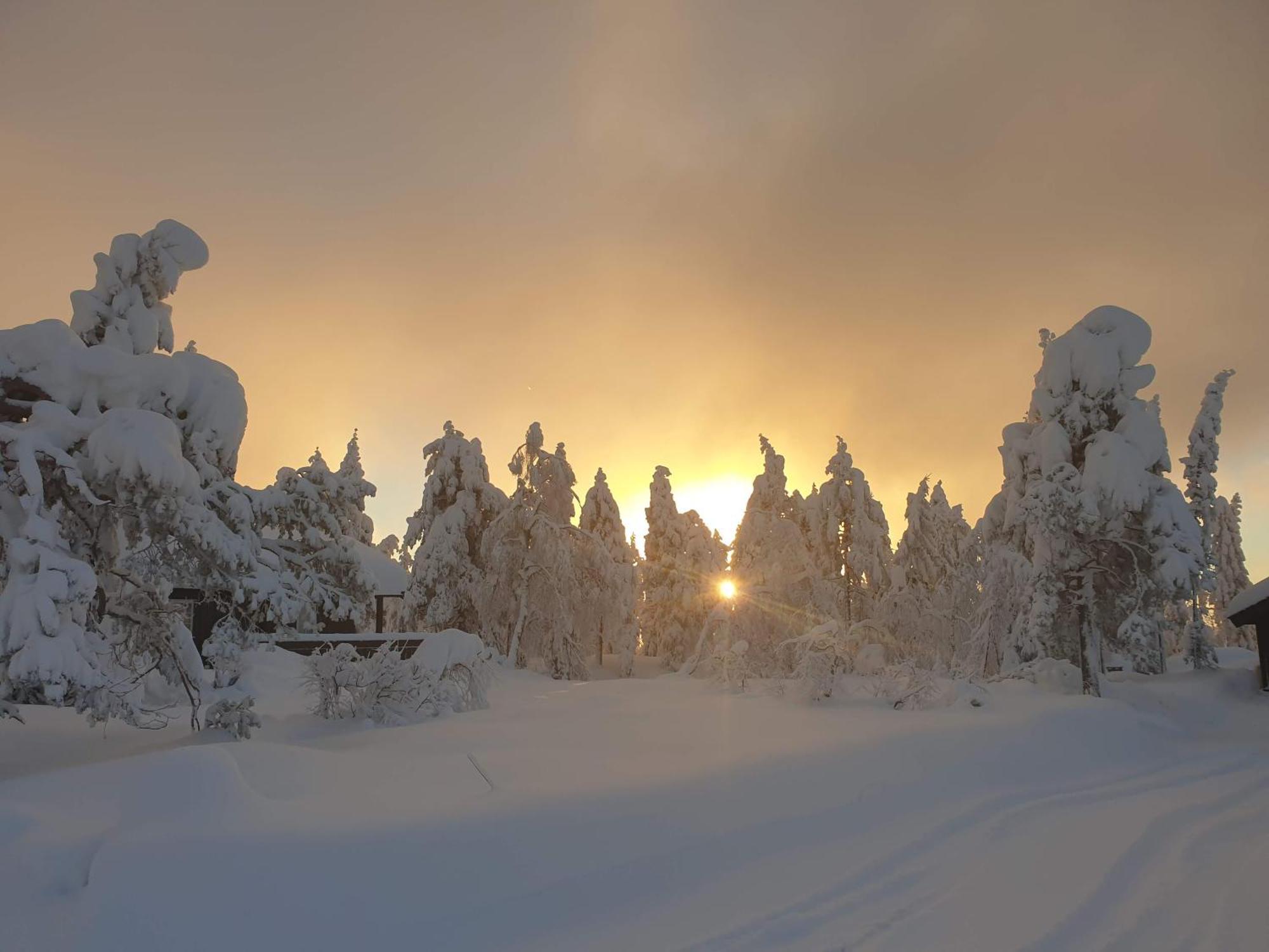 Ro I Sjelen. Hytte Til Leie Pa Skrim. コングスベルグ エクステリア 写真