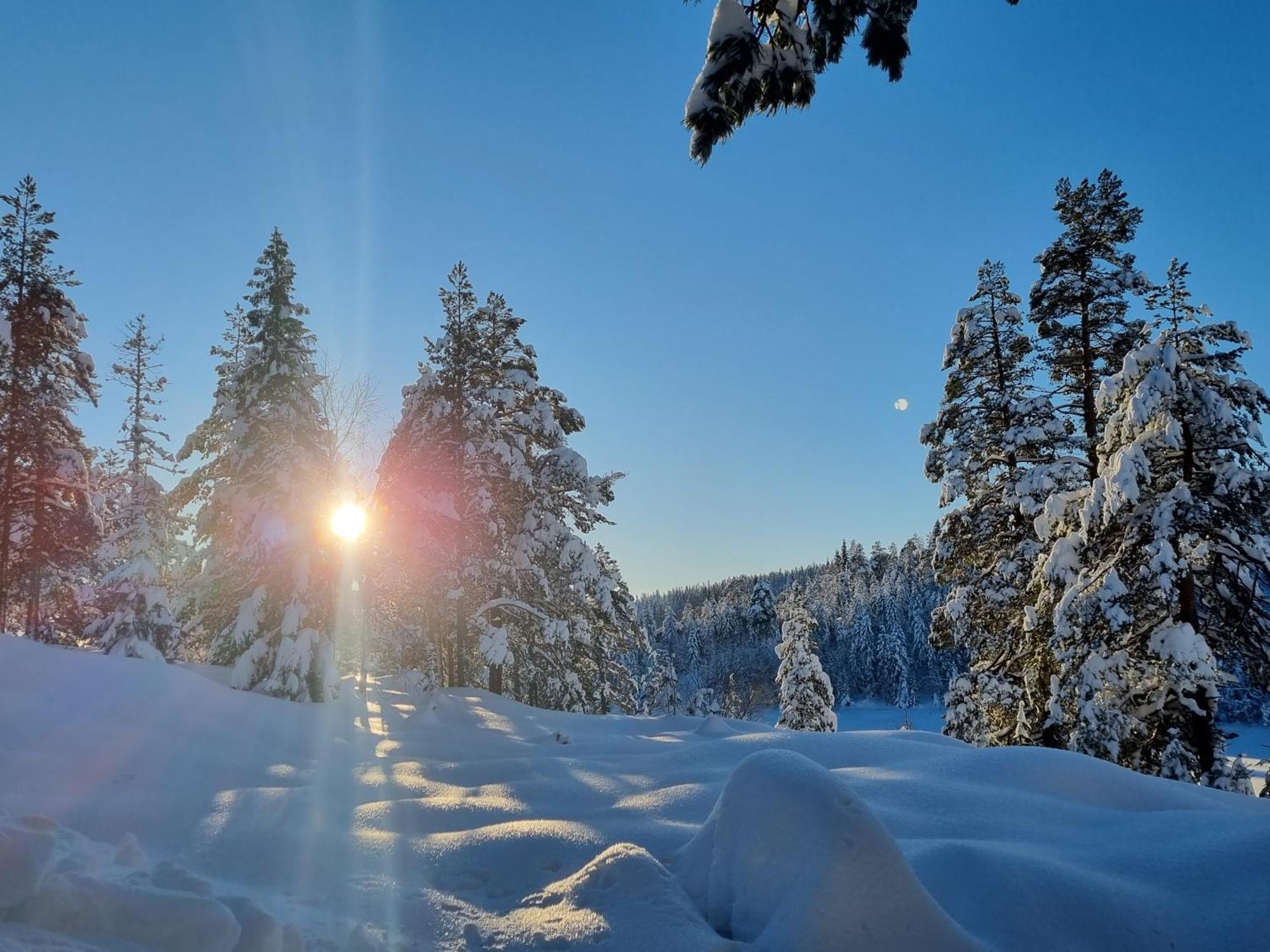 Ro I Sjelen. Hytte Til Leie Pa Skrim. コングスベルグ エクステリア 写真