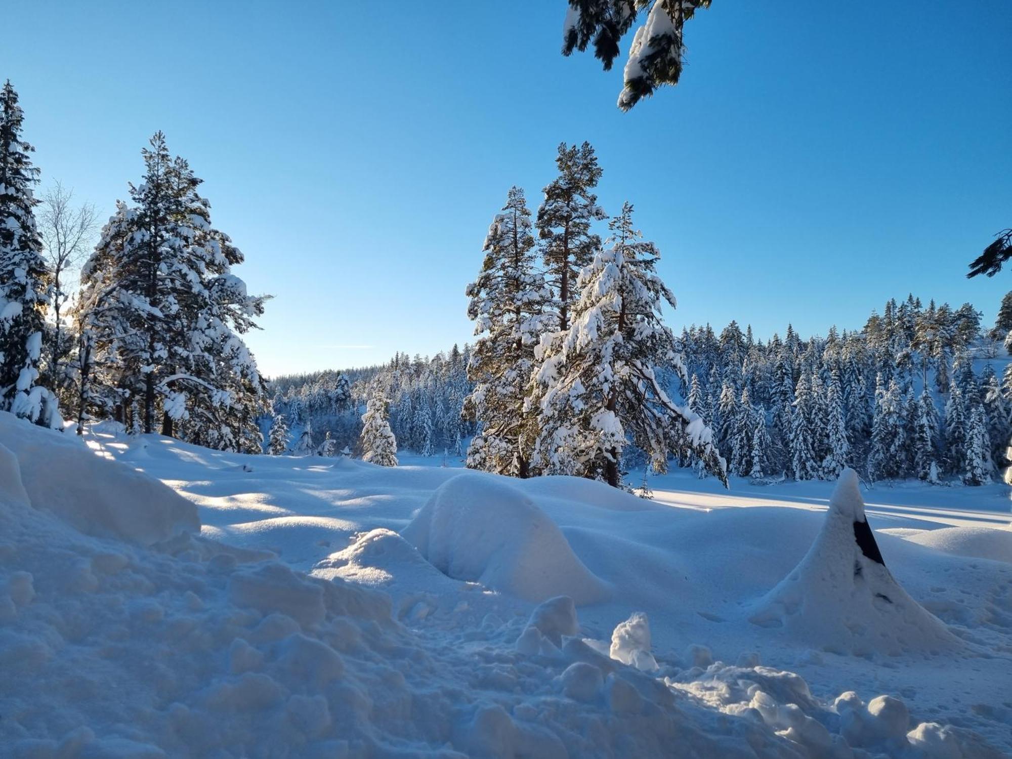 Ro I Sjelen. Hytte Til Leie Pa Skrim. コングスベルグ エクステリア 写真