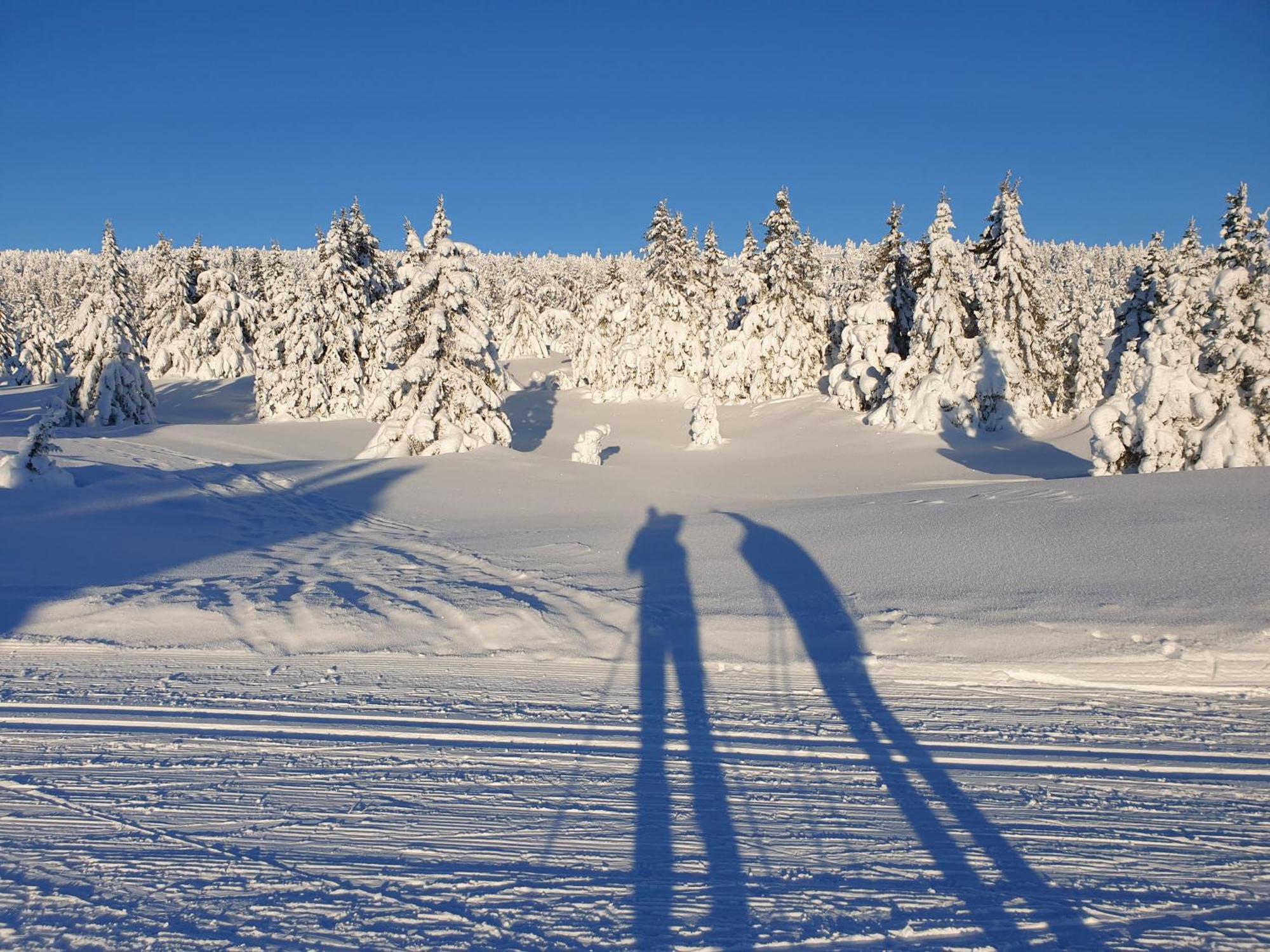 Ro I Sjelen. Hytte Til Leie Pa Skrim. コングスベルグ エクステリア 写真