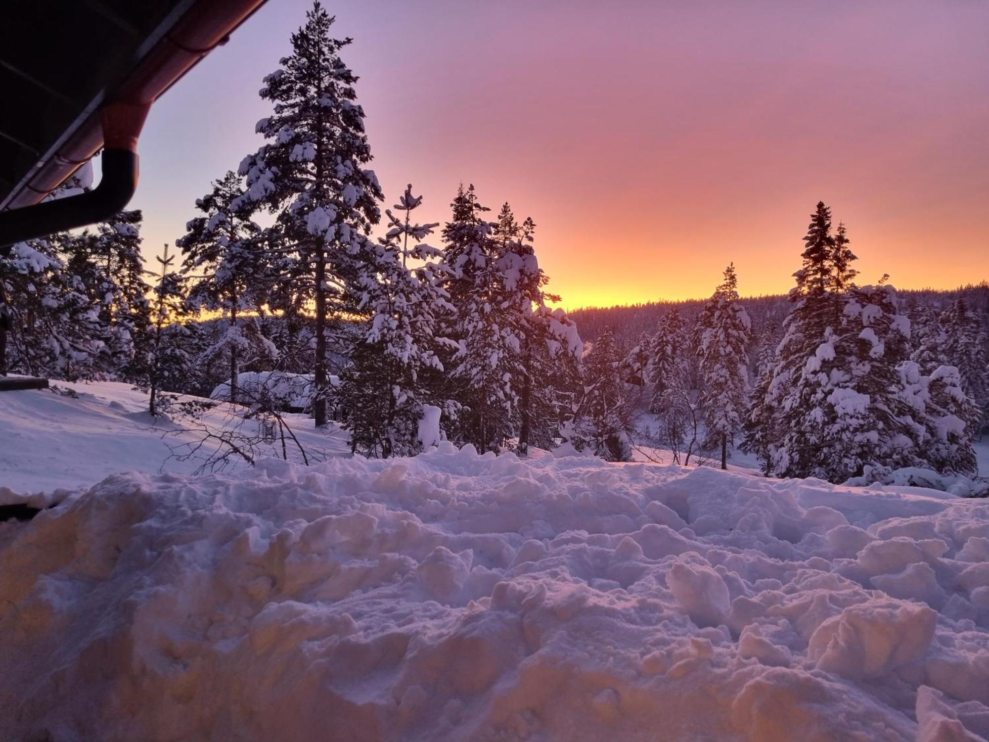 Ro I Sjelen. Hytte Til Leie Pa Skrim. コングスベルグ エクステリア 写真