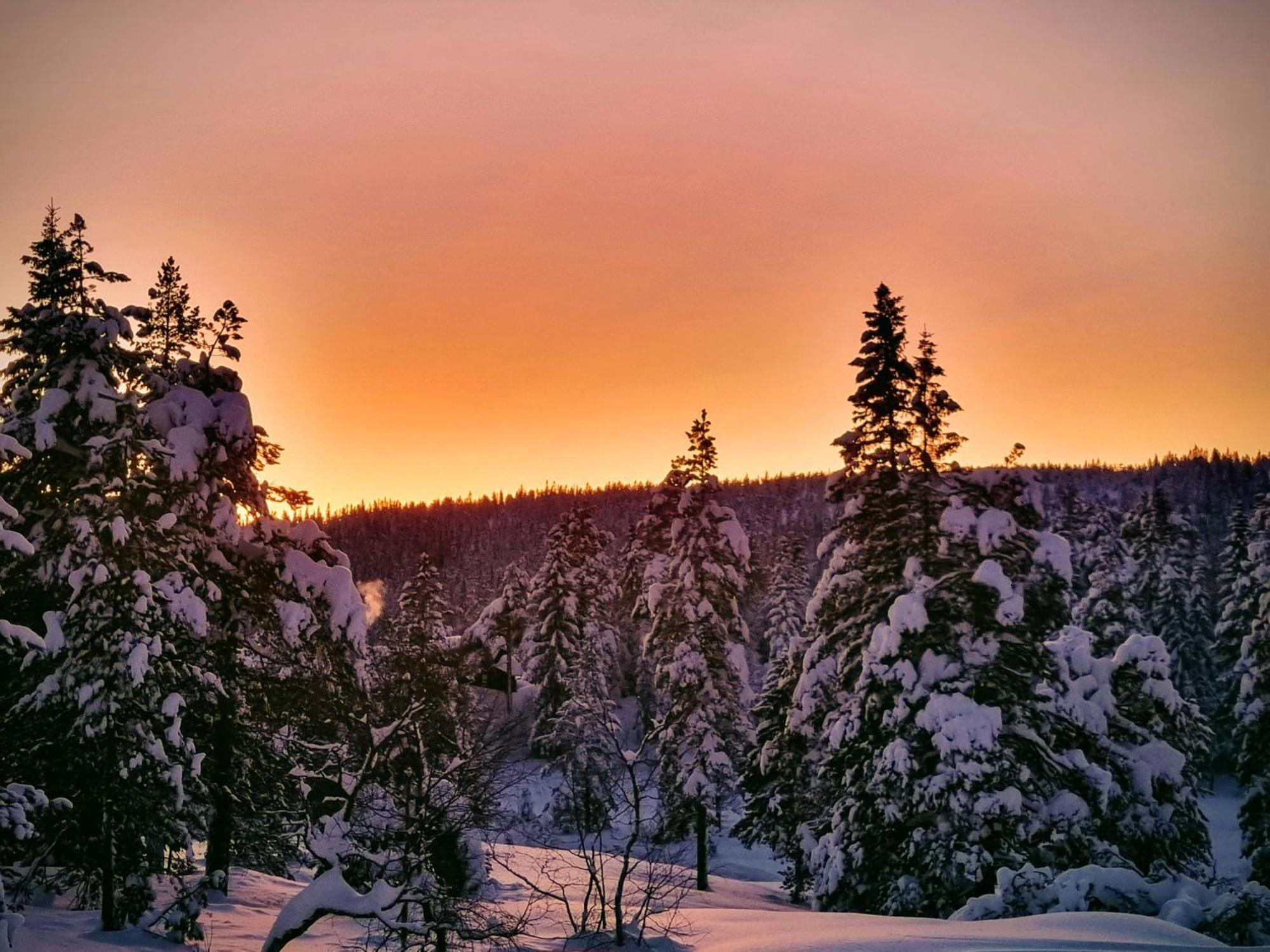 Ro I Sjelen. Hytte Til Leie Pa Skrim. コングスベルグ エクステリア 写真