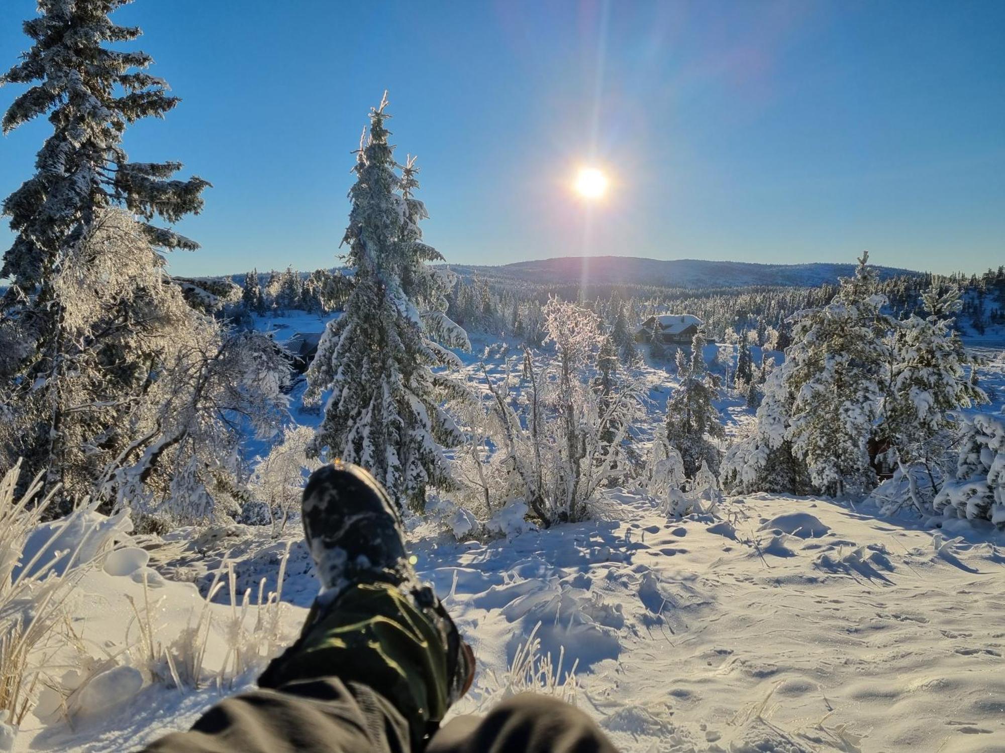 Ro I Sjelen. Hytte Til Leie Pa Skrim. コングスベルグ エクステリア 写真