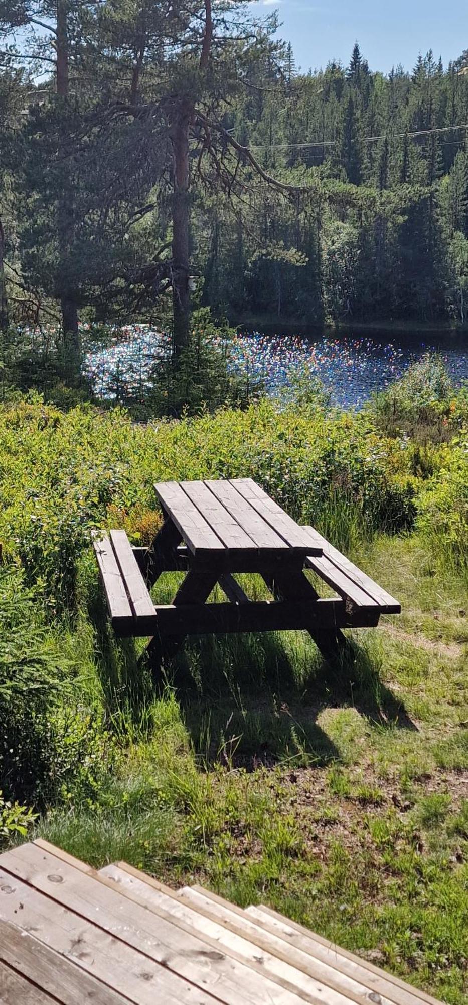 Ro I Sjelen. Hytte Til Leie Pa Skrim. コングスベルグ エクステリア 写真